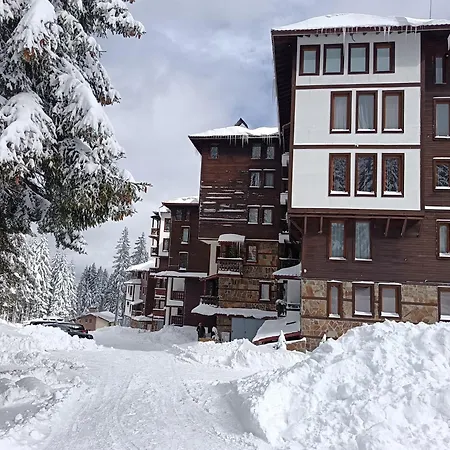 Apartament Sokolets Grand *